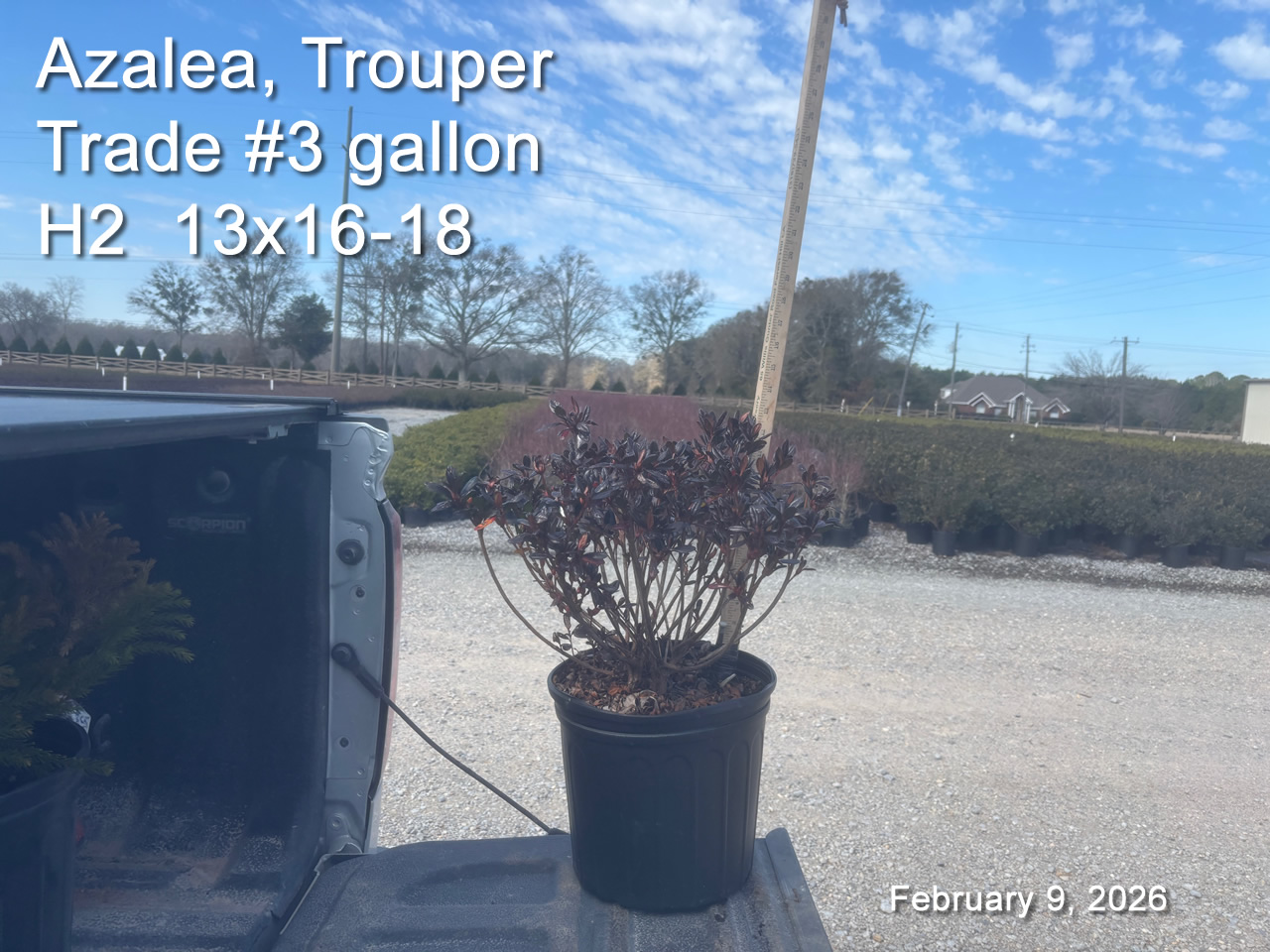 gallery/trou3t h2 feb9.jpg